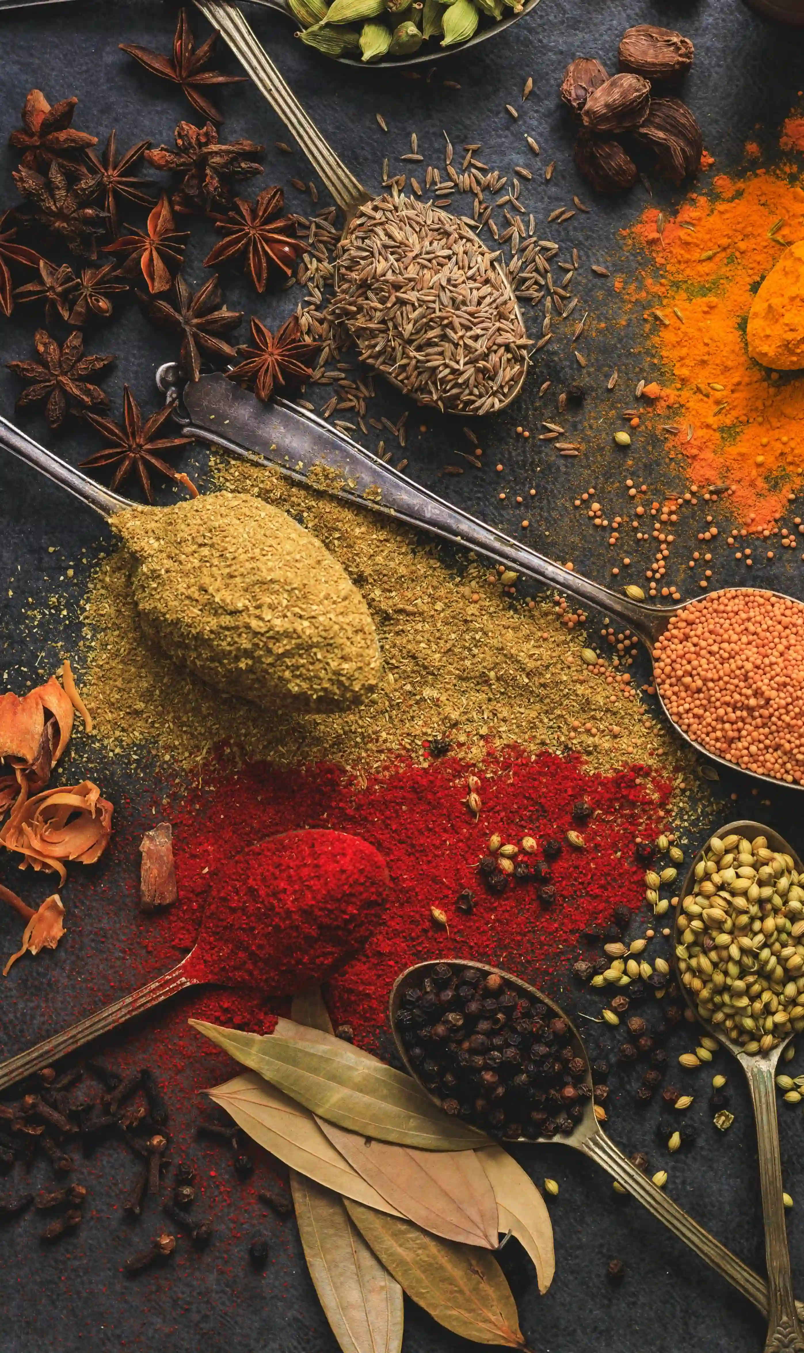 Best pakistani restaurant in Edmonton, AB